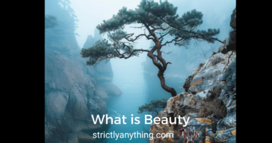 What is Beauty Strictly Anything