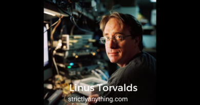 Linus Torvalds Strictly Anything